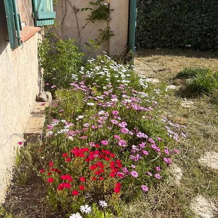 Prázdninový dům La Maison De En Famille - Acces Direct Sainte-Maxime